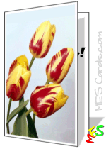 card to print, flame pattern tulip