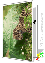 printable card, leopard cub
