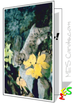 cougar, cub, flower, field