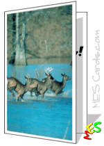 card to print, photo of deer running