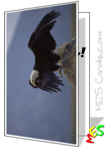 printable cards, eagle perched