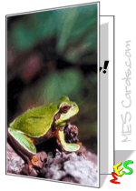 printable card, frogs
