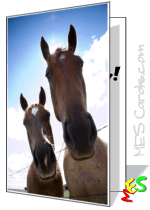 printable cards, funny horse photo
