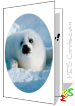 seal pup, card template