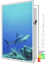 shark, copy space, sea, printable card