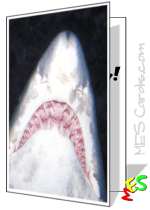 shark jaws photo, teeth, scary card