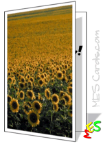 sunflower card template