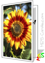 printable sunflower birthday card