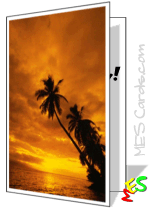 sunset card, beach, palm tree